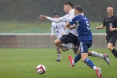traffordvchasetownweb-20