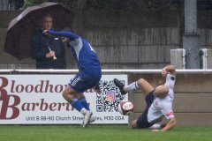 traffordvchasetownweb-21