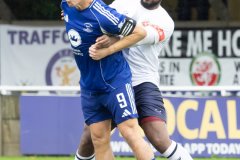 traffordvchasetownweb-35
