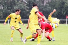 pre-season-friendly-cheadle-town-2-1-trafford-saturday-19-august-25_54664635942_o