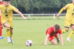 pre-season-friendly-cheadle-town-2-1-trafford-saturday-19-august-25_54664636457_o