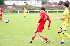 pre-season-friendly-cheadle-town-2-1-trafford-saturday-19-august-25_54665466741_o