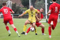 pre-season-friendly-cheadle-town-2-1-trafford-saturday-19-august-25_54665706979_o