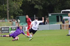 Stockton-Town-2025-08-30-at-19.52.44-3