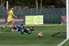 TFCvavro-2026-04-06-at-18.31.43-1