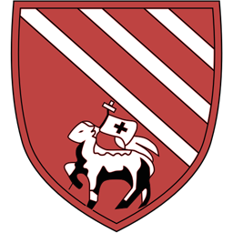 Droylsden badge